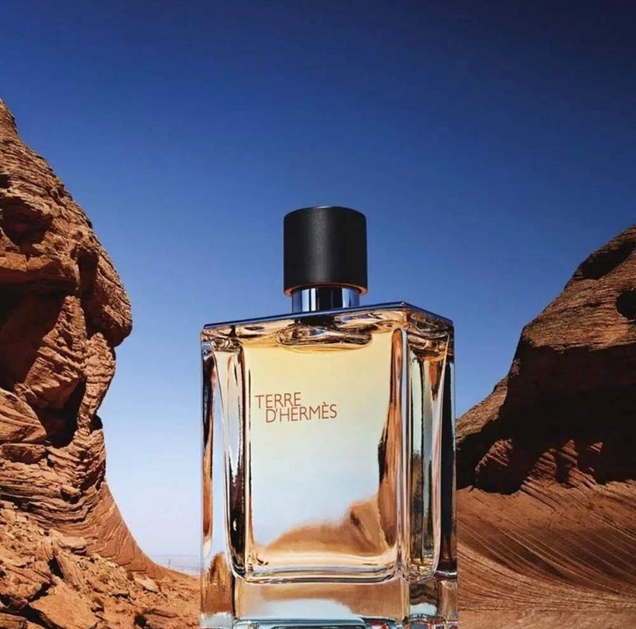 Hermès Terre d'Hermès