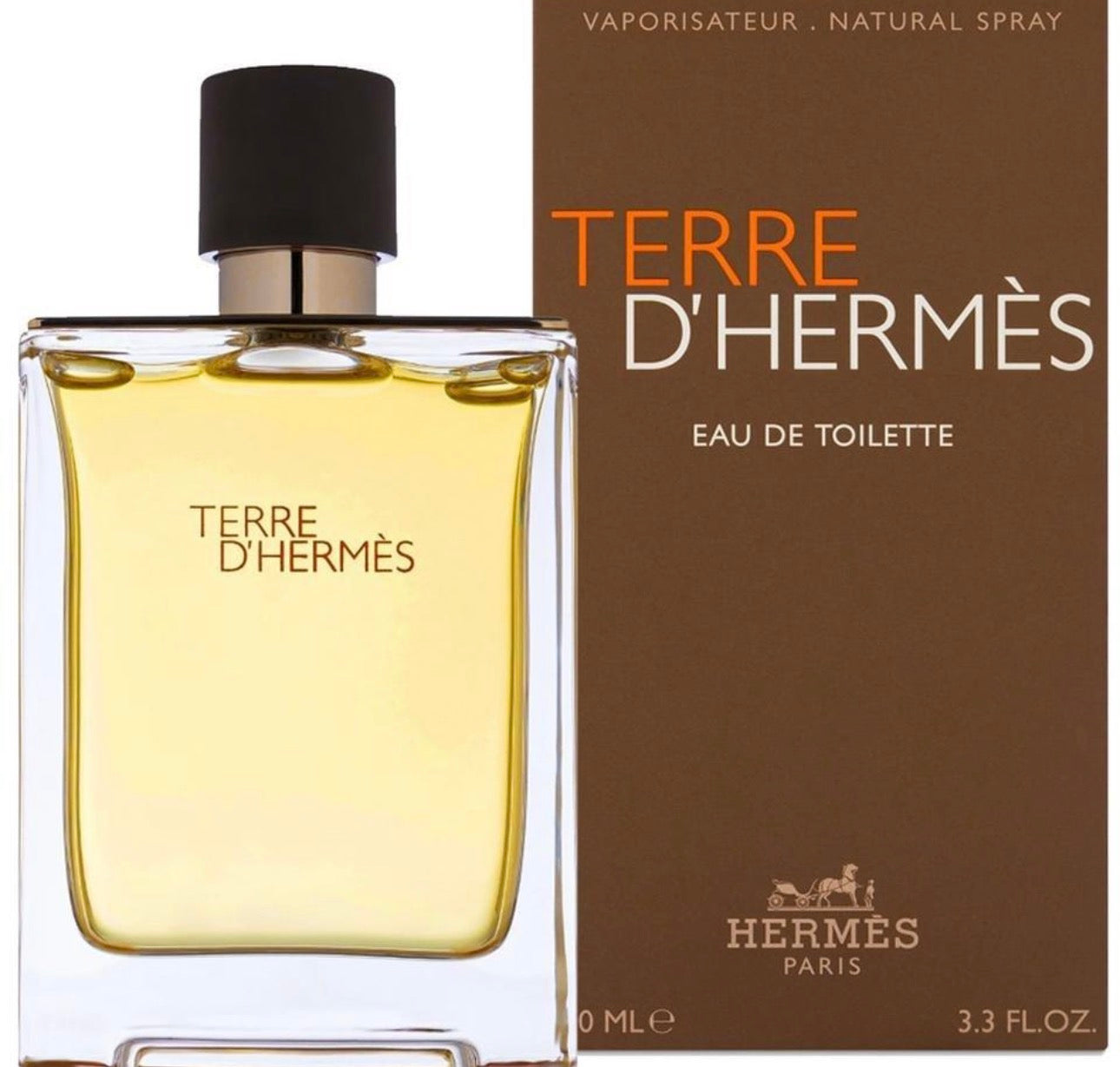 Hermès Terre d'Hermès
